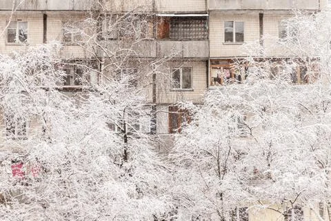 Trees under a thick layer of snow on the background of high-rise buildings in Stockfoto's