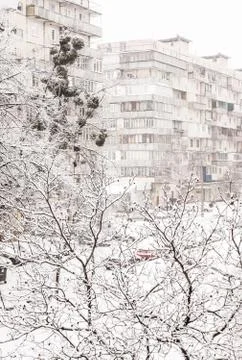 Trees under a thick layer of snow on the background of high-rise buildings in Stockfoto's