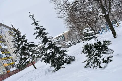 Trees under a thick layer of snow on the background of high-rise buildings Stock Photos