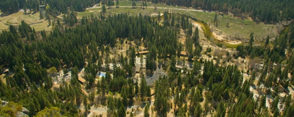 Trees in a valley Stock Photos