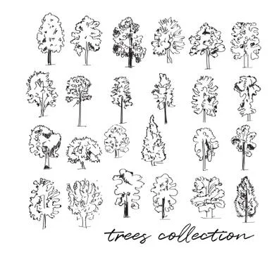 Trees vector sketch collection. Ilustración de archivo