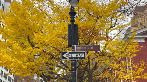 Trees with vibrant autumn foliage stand around Stuyvesant Square Park in NYC Vídeos de archivo 341992096
