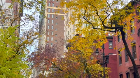 Trees with vibrant autumn foliage stand around Stuyvesant Square Park in NYC Stock Footage 341999774
