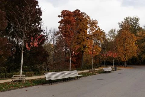 Trees with vibrant leaves brighten the path in Stromovka park Prague Stock Photos