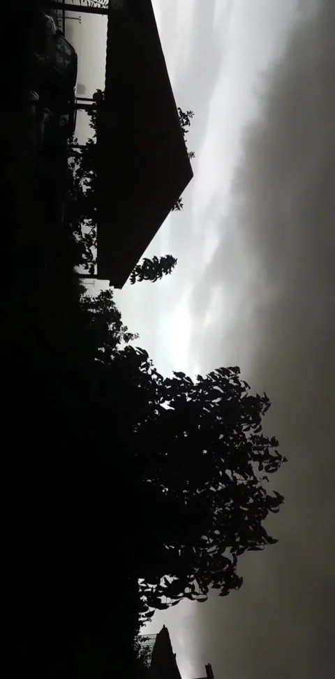Trees video with bad windy and rainy weather Stock Footage 144005474