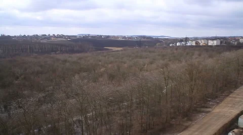Trees. View from roof. Stock Footage 53825301