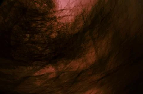 Trees vortex on side sun light sky background Stock Photos