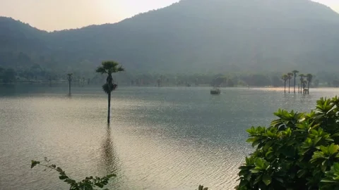 Trees in water Stock Footage 168061501