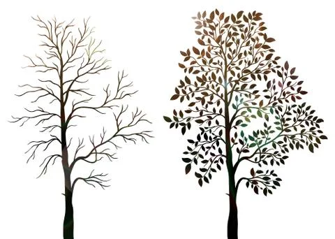 Trees on white background Stock Illustration