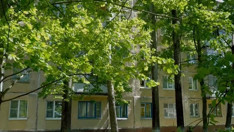 Trees in the wind against the house Stock-Footage 75446347