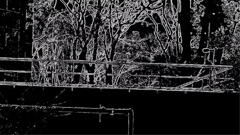 Trees In Wind And House On The Front View In Abstract Drawing Stock Footage 84597938