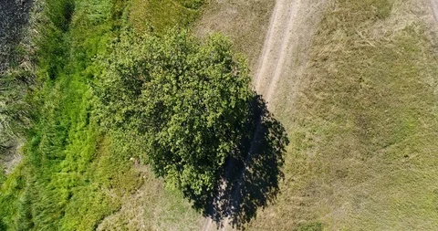 Trees, wind and sun and road in good weather all the movements. 스톡 동영상 93998054