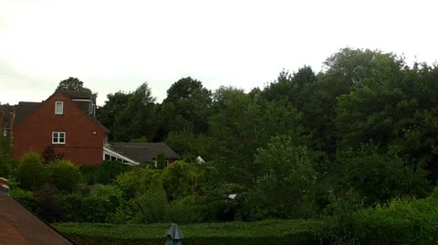 Trees in the wind Stock Footage 26431193