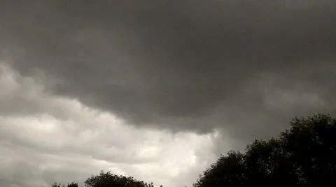 Trees in the wind Stock Footage 26436765