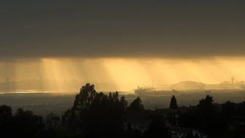 Trees in Wind with San Francisco Sunset Видео 92625223