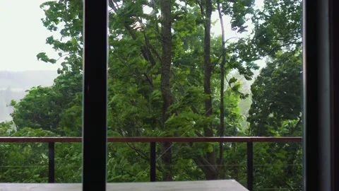 Trees in the window of a house bend in the wind during a thunderstorm. Video stock 155340434