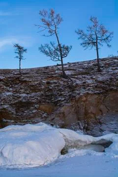 Trees in winter on cliff, landscape image, landscape photography Stock Photos