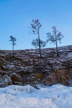 Trees in winter on cliff, landscape image, landscape photography Stock Photos