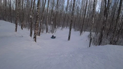 Trees in the winter park Video stock 168102816