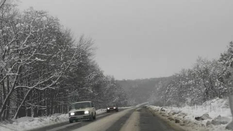 Trees in winter2 Stock Photos