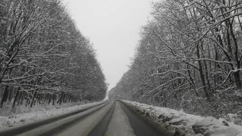 Trees in winter5 Stock Photos