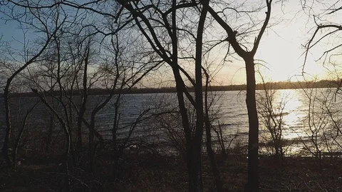Trees without foliage in the counterlight against the river Stock Footage 125492310