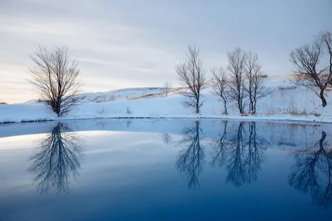 Trees without foliage stand by blue lake. Tree trunks are reflected in the lake. Stock Photos