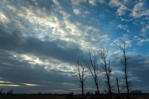 Trees without leaves and evening clouds on the sky Stock Photos