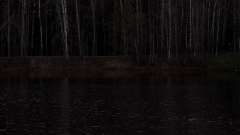 Trees without leaves next to a lake (pond) in a park. Stock Footage 121746510