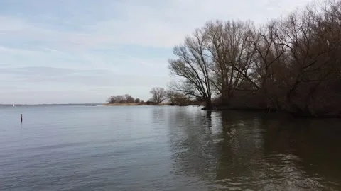 Trees without leaves on the right and shot from the water. 動画素材 303080511