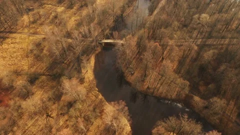 Trees without leaves, river. Aerial view. Late in the fall. Beautiful bend of Stock Footage 145094485
