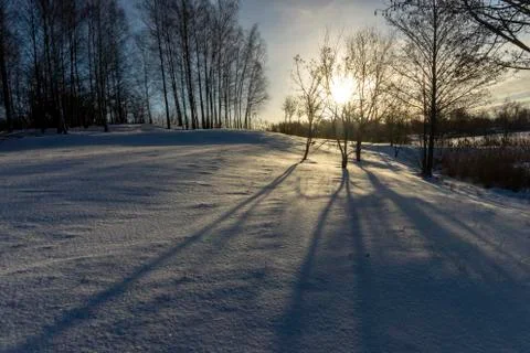 Trees without leaves in snow covered ground Stock Photos