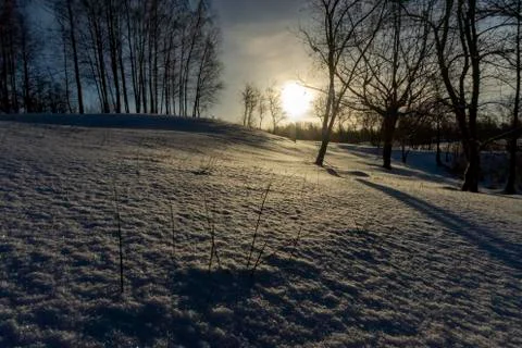 Trees without leaves in snow covered ground Stock Photos