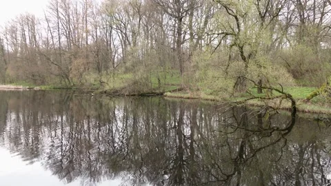 Trees without leaves in spring by the river. Stockbeeldmateriaal 313225136