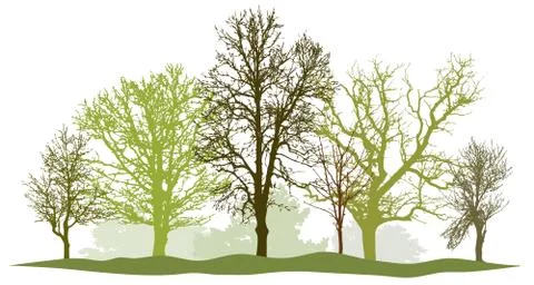Trees without leaves. Spring silhouette vector Stock Illustration