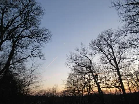 Trees without leaves with sunset plus the moon and an airplane Stock Photos