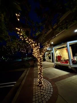 Trees wrapped in strings of White illuminated lights at dusk Stock Photos