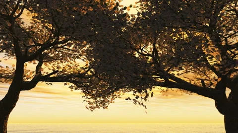 Trees on yellow sky Video stock 40346454