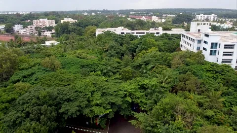 Trees,Road And Building 1 Stock Footage 252057473