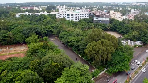 Trees,Road And Building 4 Stock Footage 252057403