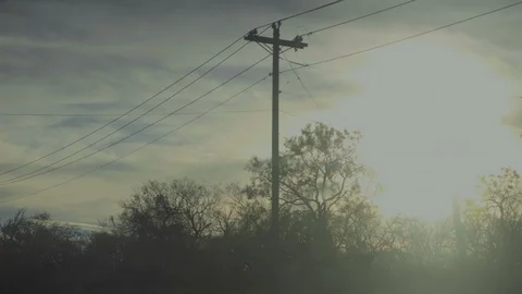 TreesSunPowerlines DriveBy 5xSlowMo Stock Footage 99010367