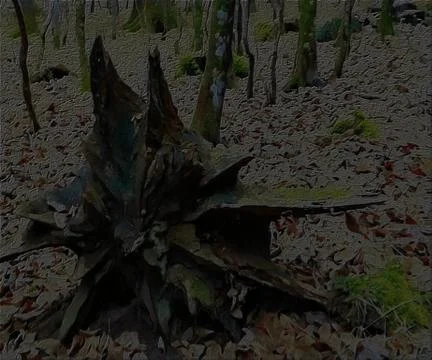 Treestunk Stock-Fotos