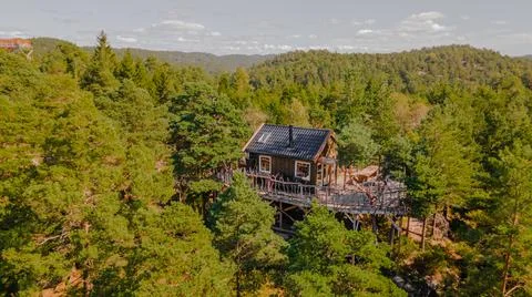 Treetop cabin in forest Stock Photos