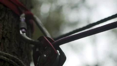 Treetop harness for soldier Stock-Footage 77013734