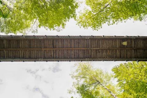 The treetop path of Fuessen from below. Stock Photos