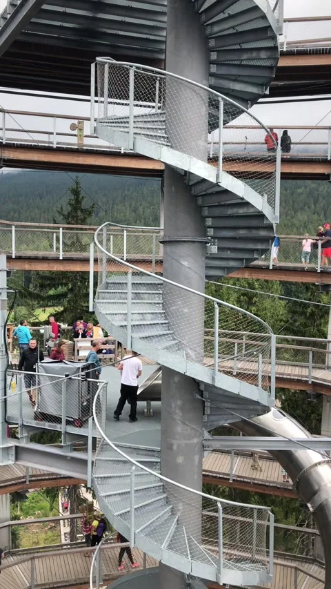 Treetop trail 스톡 동영상 161785750