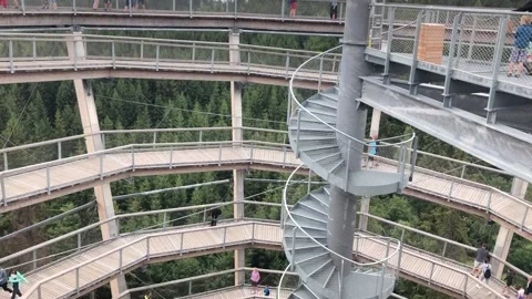 Treetop trail Stock Footage 161785760