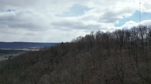 Treetop Trim (2) Stock Footage 236597441