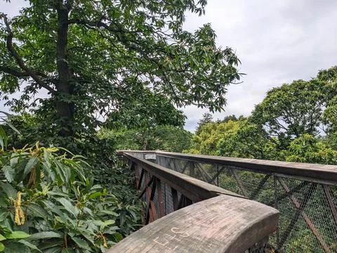 Treetop Walkway going through tree canopies at Kew Gardens Stock Photos