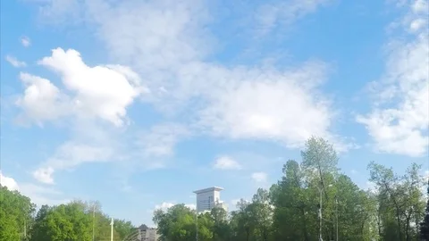 Treetops and blue sky timelapse Stockbeeldmateriaal 82052960